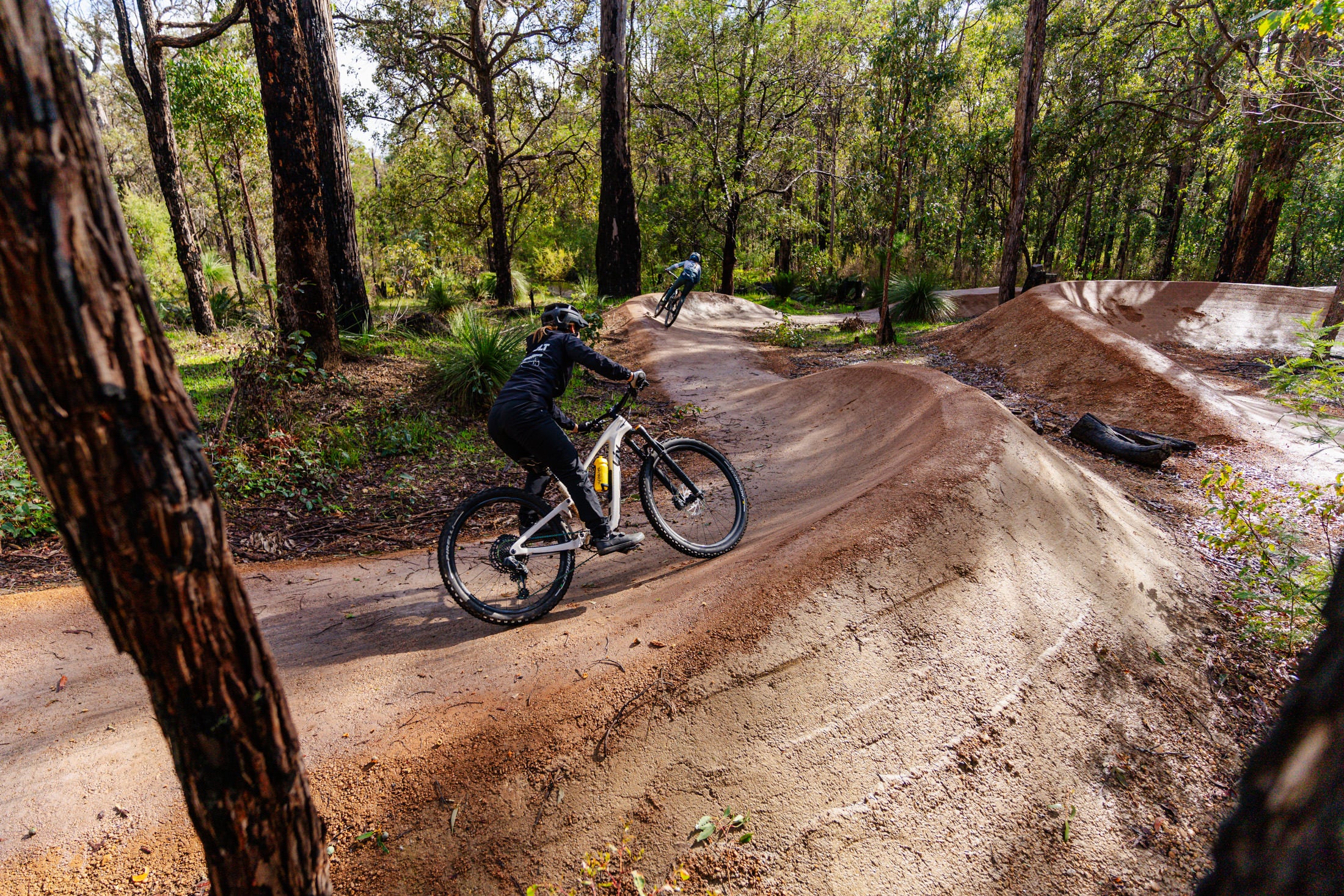 Mountain Bike track and berms through forest, ridden by two mountain bikers.