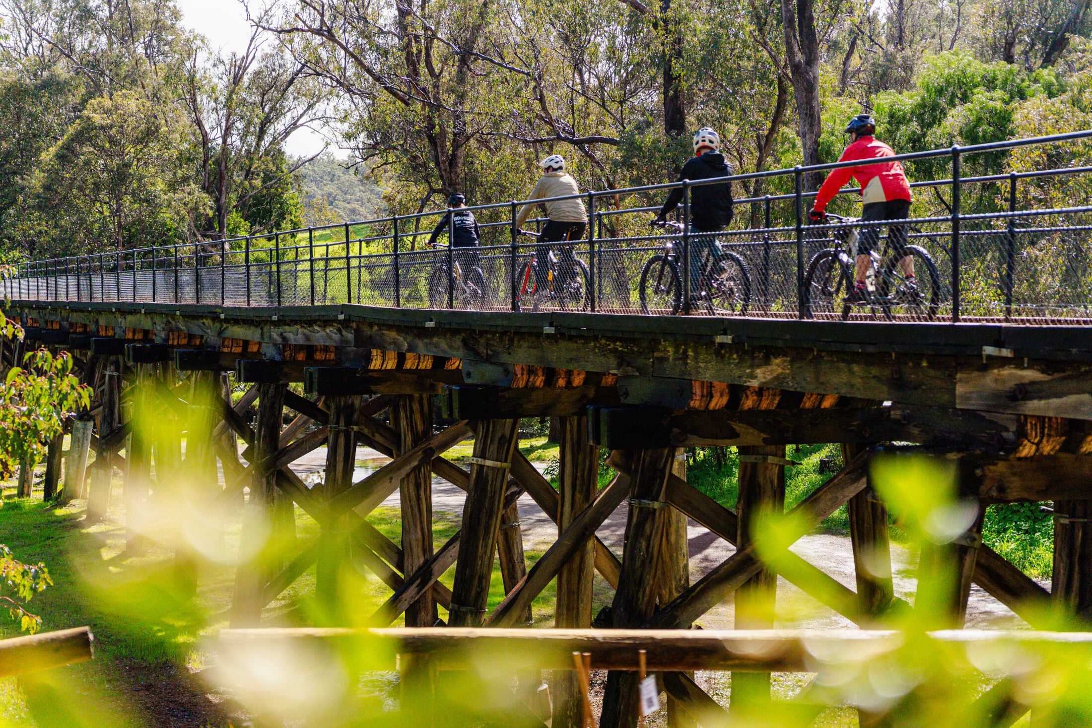 Mountain Bike riders riding across a wooden bridge surrounded by bush.