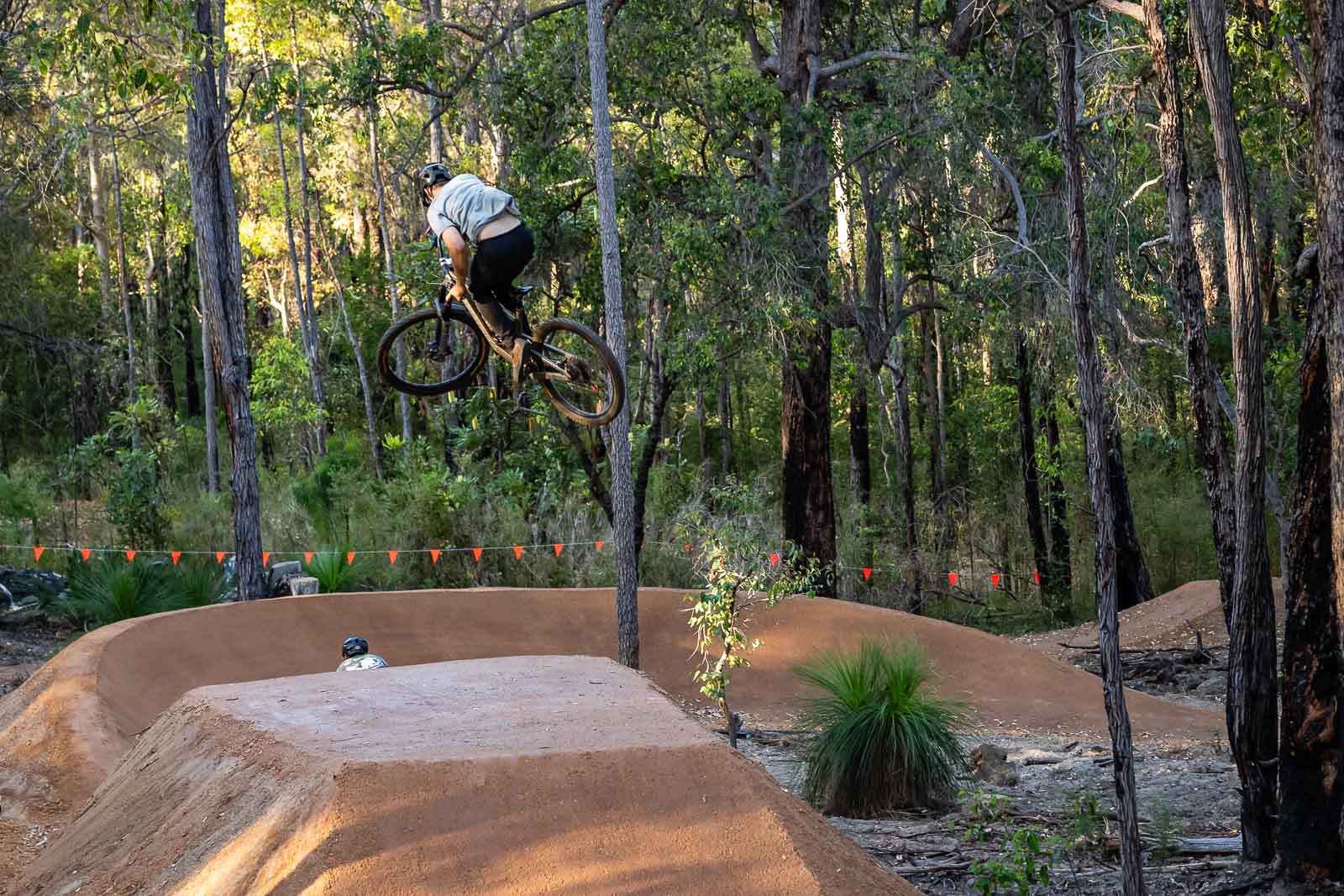 Mountain Bike jump park in the forest with mountain bike rider mid air.